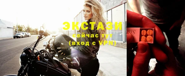 ECSTASY Богородицк
