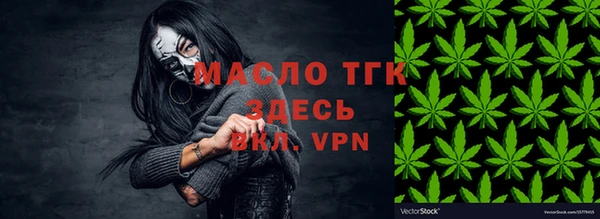 ECSTASY Богородицк