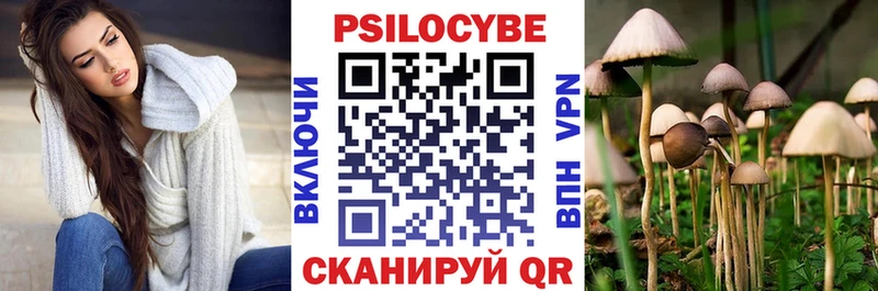 купить наркотики цена  это клад  Галлюциногенные грибы ЛСД  Невель 