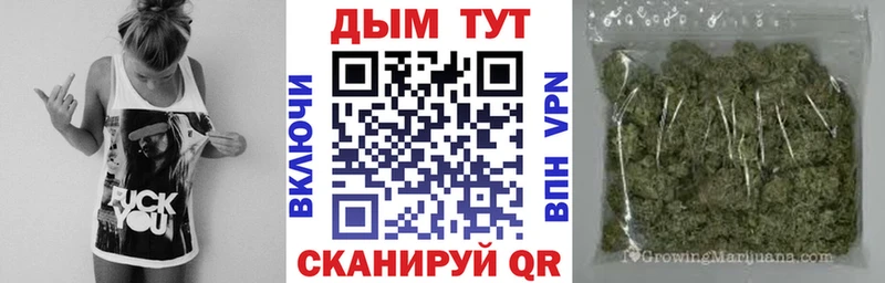 Канабис планчик цена наркотик Невель